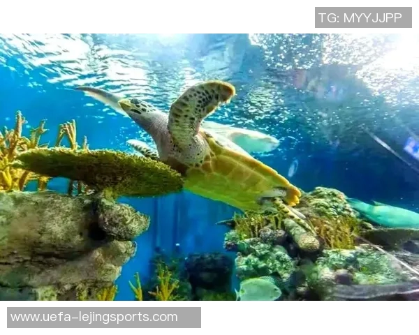 天津足球赛事购票攻略全方位指南助你轻松享受精彩比赛体验 天津足球赛事购票攻略全方位指南助你轻松享受精彩比赛体验